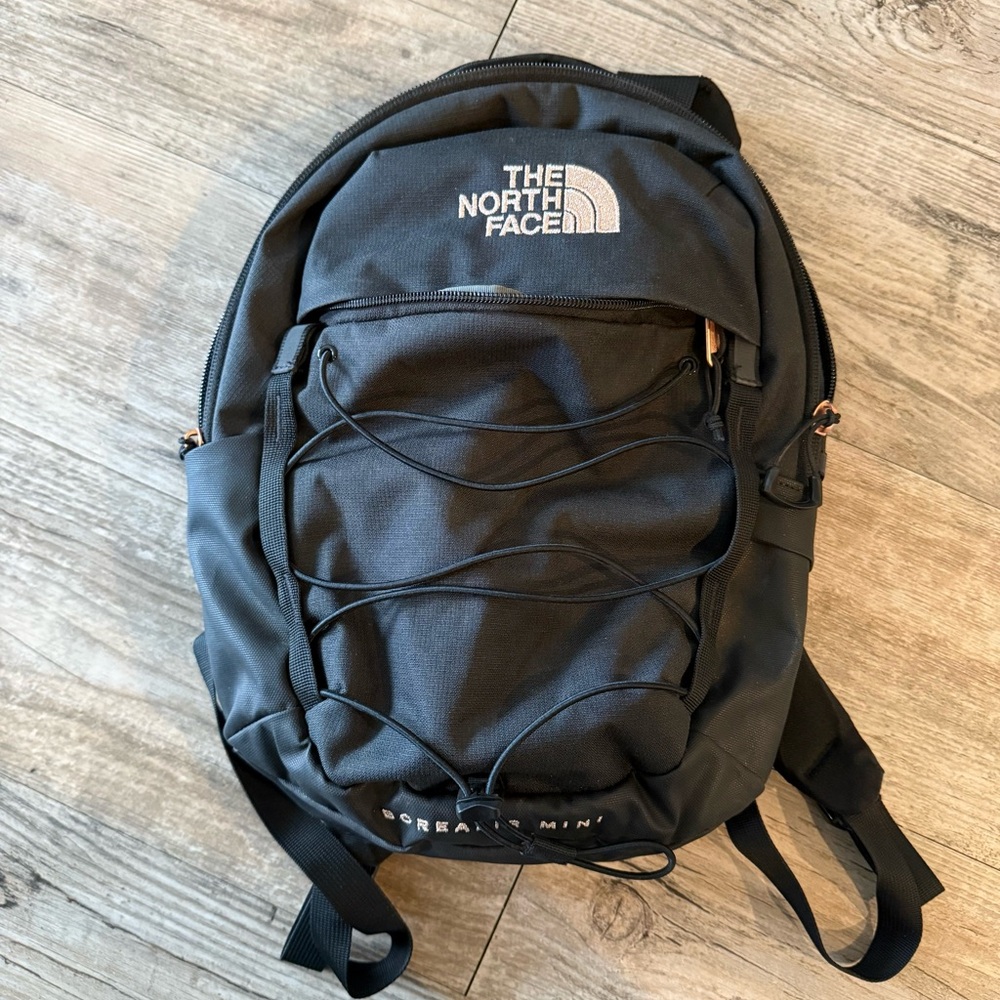 The North Face Borealis Mini Backpack – Black w/ Rose Gold | Like New